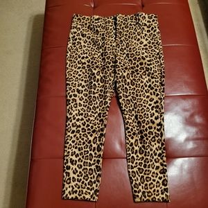 Leopard Pants